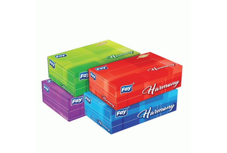 Fay Harmony Tissue Box 70x2ply